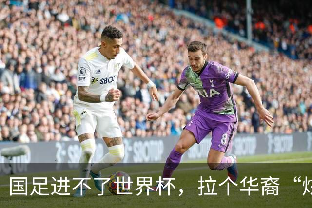 国足进不了世界杯，拉个华裔“炫耀”一下也过瘾？